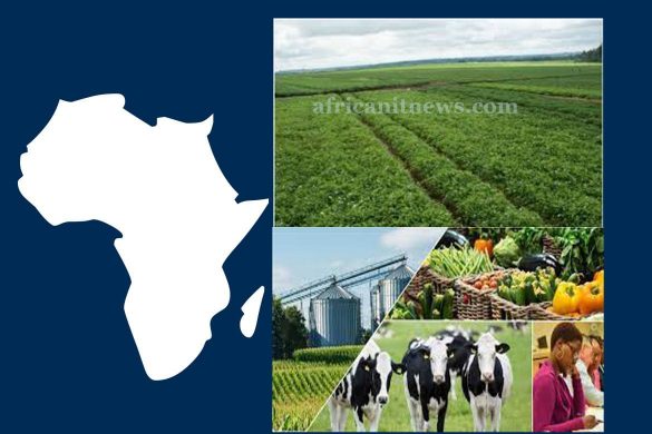 AfDB Commits to Agribusiness in Africa